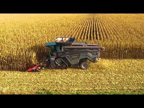 Fendt Ideal 8T mit Geringhoff Mais Star* Horizon