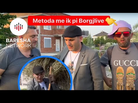 Biba ban ndryshim drastik me ik pi Borgjlive…Martini tuj bajte Sana n’livadhe