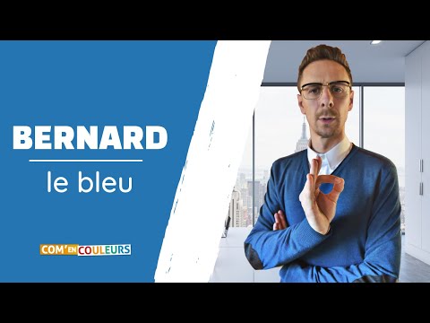 🟦 METHODE DISC : Comprendre le profil BLEU