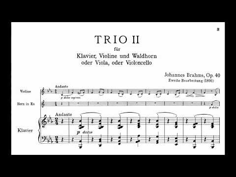 Brahms: Horn Trio Op.40 [Melnikov, Faust, van der Zwart] (Period instruments)