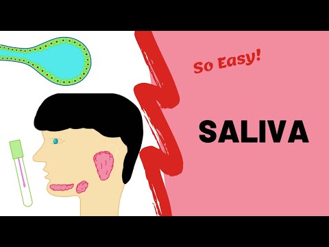 Saliva & it's Functions