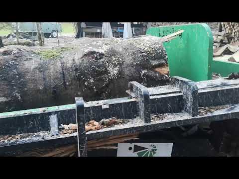 SpaltFast - BaSt-Ing - Handyvideo - Astige Tanne