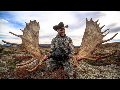 Alaskan/Yukon Moose Hunt - "Monsters of Alaska"