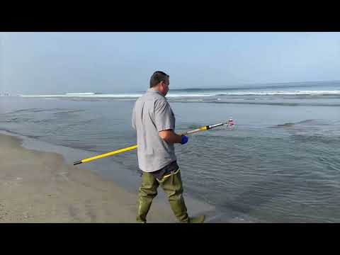 InService - Mike Daoud