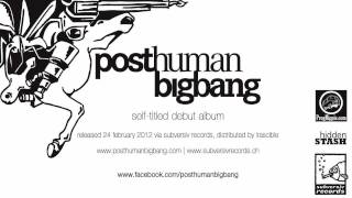 PostHumanBigBang - Epidemic