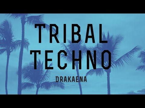 Tribal Techno Mix - April 2025
