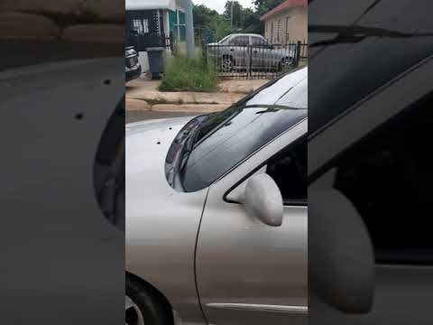 Una guagua de Bichotee😂😂😂😂🇵🇷🇵🇷🇵🇷