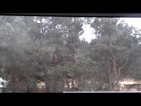 JASTRZEBIA GORA.Jak dobrze miec sasiada,#2.