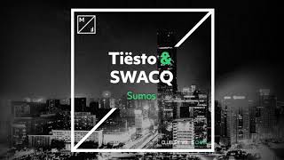 Sumos (Extended Mix) song artwork