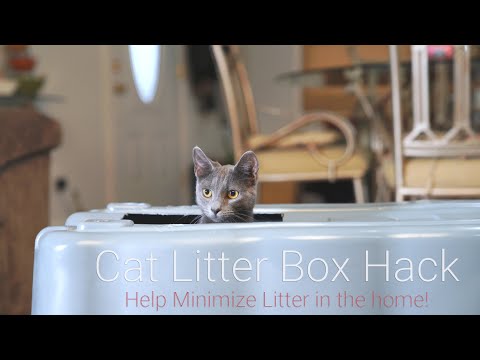 Cat Litter Box Hack to minimize Tracking - DIY - Sony a7III