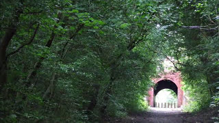 preview picture of video 'kingswinford railway walk to south staffordshire railway walk'