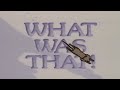 WHAT WAS THAT 1977 1987 FAVORITE STORIES A GOLDEN BOOK VIDEO VHS Rip Digitization Kids Book