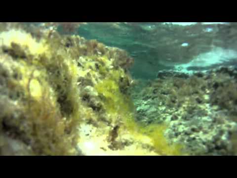 Elafonisi underwater.mov