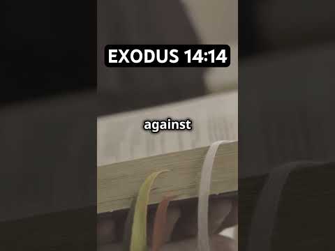 The LORD Fights For You! | Exodus 14:14 | Bible Verses