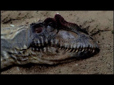 Dinosaurs Tribute - Whisper