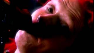 Cyclefly - Violet High