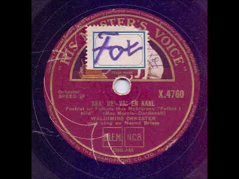 WALDIMIRS ORKESTER MED SÅNG AV NAEMI BRIESE - SKA ´DE´ VA´EN KARL