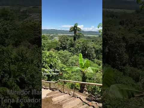 Te esperamos en la ciudad del Tena, parroquia Puerto Napo, Yutzupin, viernes , sábados y domingos