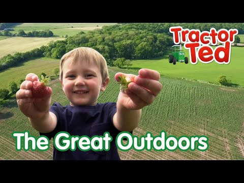 The Great Outdoors With Tractor Ted 🌳 | Tractor Ted Official #mentalhealthawareness