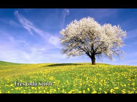 Cerca quiero Estar / Jaime Ospino - IURD