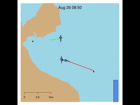 Sand Tiger Shark Research in Boston Harbor | New England Aquarium