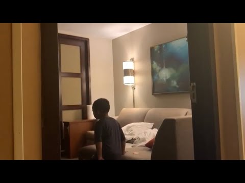 Hyatt Hotel Dulles Airport 21481 Ridgetop Circle Sterling Virginia United States 20166 August 3 2022