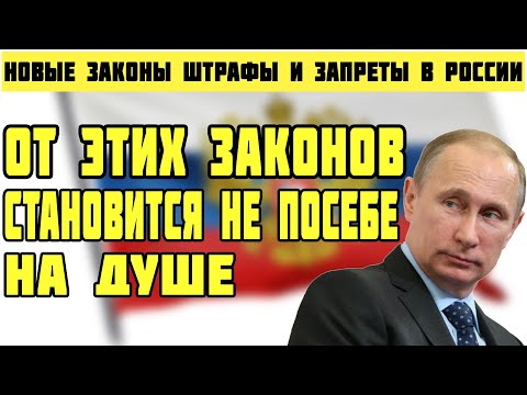 Новые законы в России с 1 февраля 2021 года