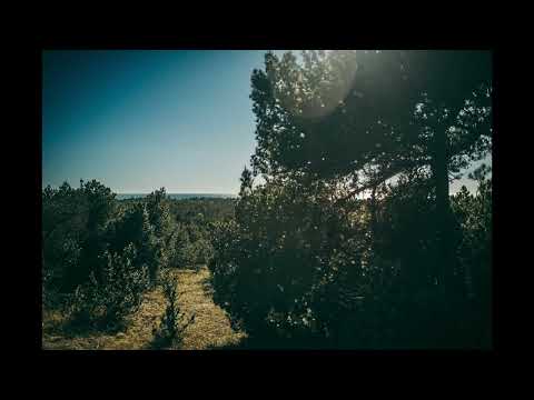 Kigidi Karma - Su Malda