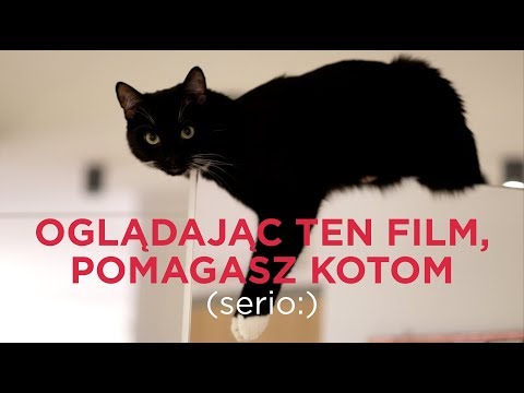 Siluyanova książka o kulturystyce Anatomia człowieka mięśnie na zdjęciach