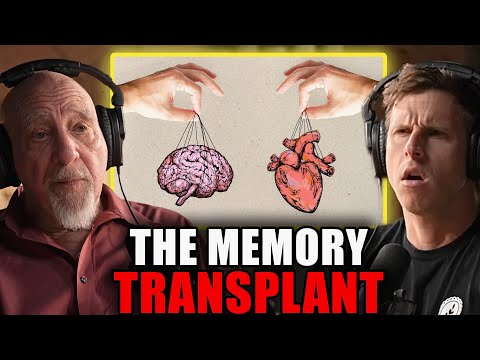 New Study Discovers Where Memory is Stored (It's NOT in the Brain) | Dr. Stuart Hameroff