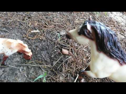 (Breyer Horse Movie) The Horse King part 9 Surprise