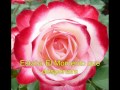 Air Supply -Heart Of The Rose-español