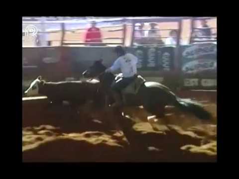 Aberta Brasília – 1° lugar fêmeas – Esmeralda do Rio das Pedras