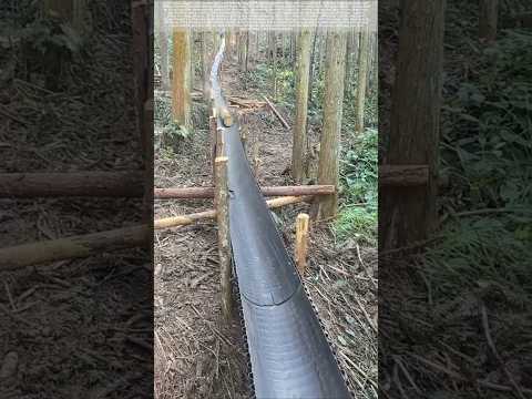 Timber transport via chutes: 