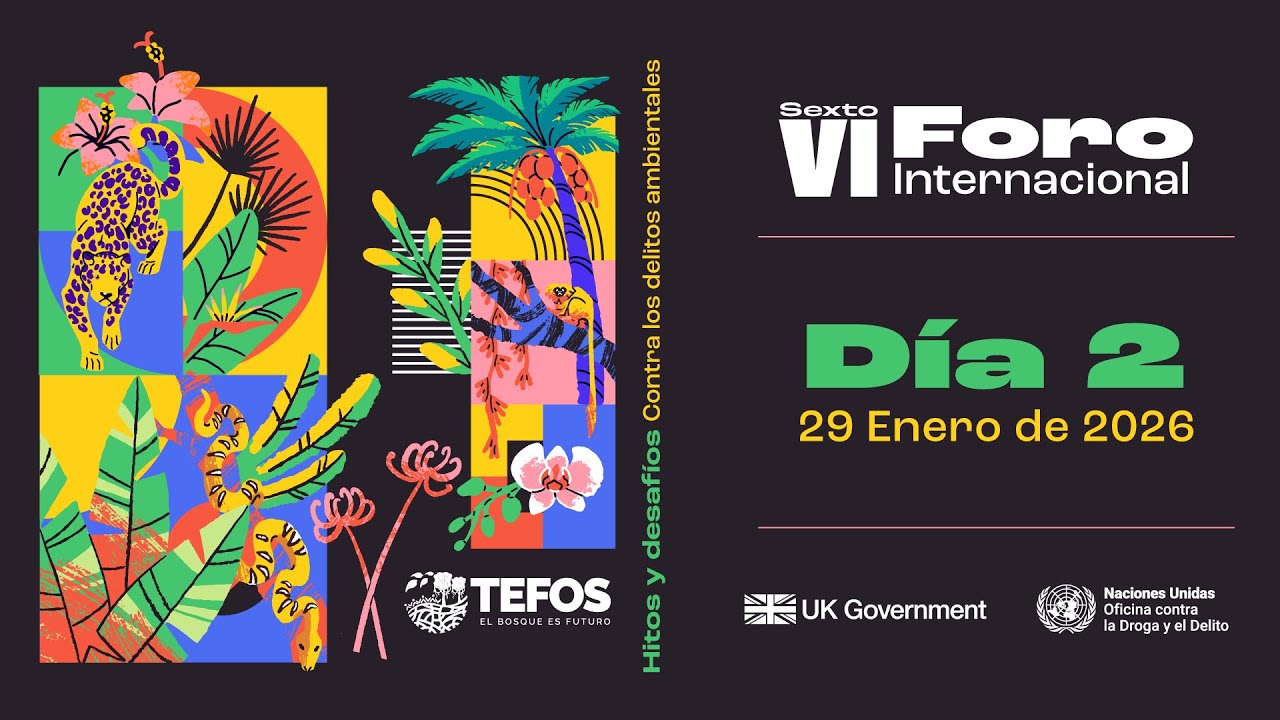 Día 2 - VI Foro Internacional: Hitos y desafios contra los delitos ambientales