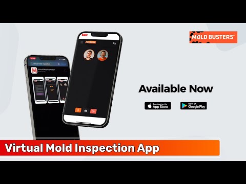 Virtual Mold Inspection
