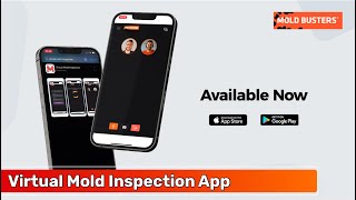 Virtual Mold Inspection YouTube Video