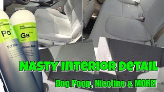 NASTY Honda Interior- Dog Poop, Nicotine and More + Testing Koch Chemie Pol Star & Green Star