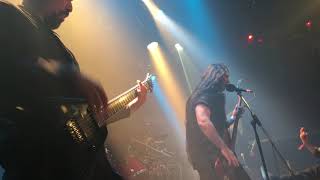 Immolation Swarm of Terror