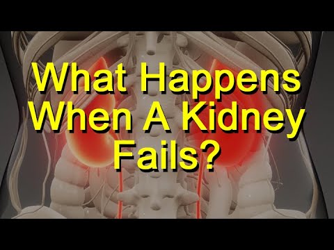 What Happens When Kidneys Fail?