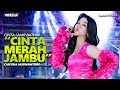Cinta Lahir Bathin CINTA MERAH JAMBU Cantika Nuswantoro Adella OM ADELLA