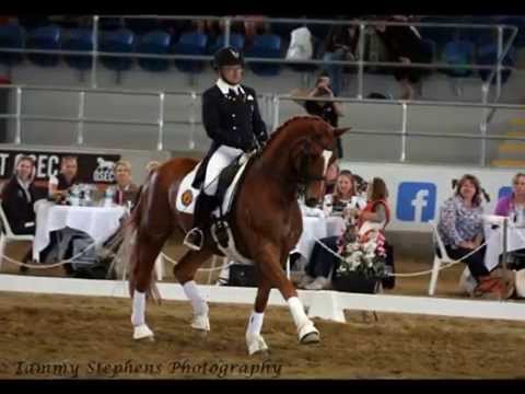 The 2014 Horseland Festival of Dressage Photo Slideshow  - extended versio