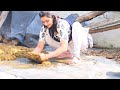 Daily Routine Village Woman Cowmilking Villagelifestyle Cleaningvlognew Cleaning Dailyroutinevlog