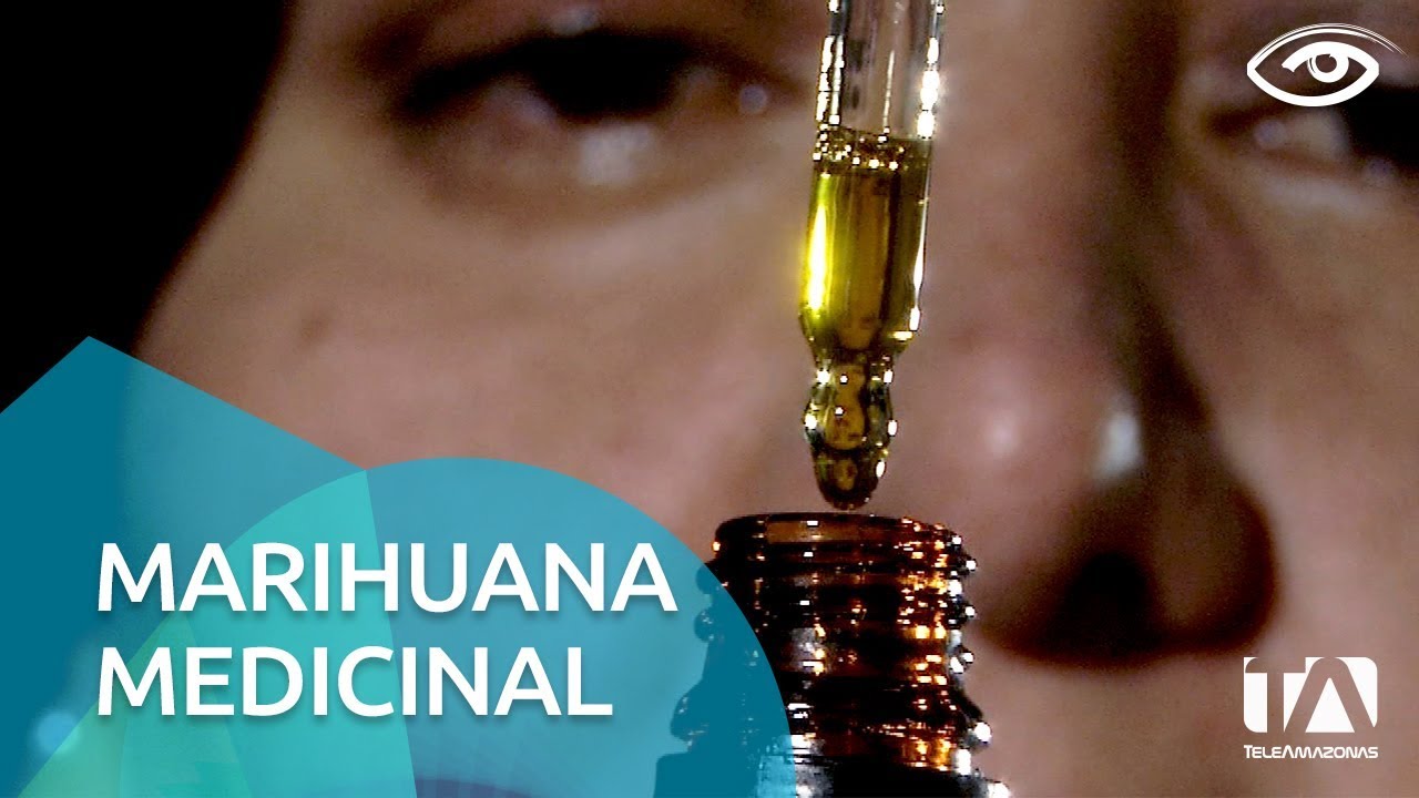 Marihuana medicinal - Día a Día - Teleamazonas
