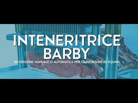 INTENERITRICE IDRAULICA