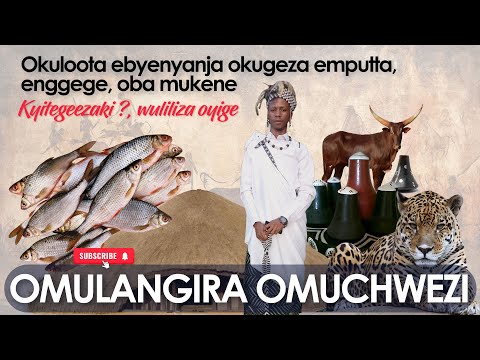 Okuloota Ebyenyanja Okugeza Emputta, Enggege, Oba Mukene Kitegezaki! Wuliliza Oyige