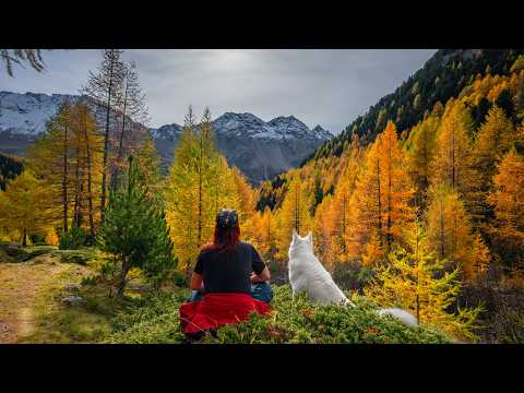 Autumn Swiss Alps: A Photographer's Dream - Golden Larches of Switzerland