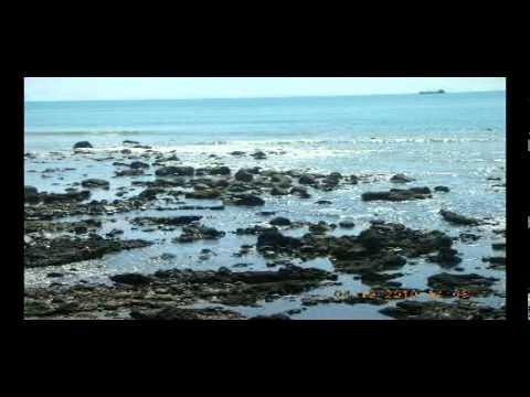 Shut up and drive through NZ - Mpeg.MPG
