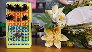 Video thumbnail for Catalinbread CSIDMAN Glitchy/Stutter Delay Demo (no talking) by Get Offset