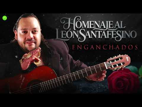 LEO MATTIOLI POR SIEMPRE  🌹 Homenaje al Leon 2025 (Enganchados)